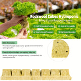 NNETM High Porosity Rockwool Grow Cubes for Seed Germination