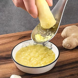 NNETM Stainless Steel Ginger Grater Spoon