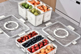 4-Section Refrigerator Storage Container with Lid