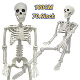 NNEOBA Full Body Halloween Skeleton with Movable Joints
