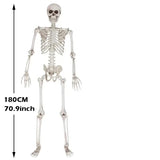 NNEOBA Full Body Halloween Skeleton with Movable Joints