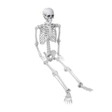 NNEOBA Full Body Halloween Skeleton with Movable Joints