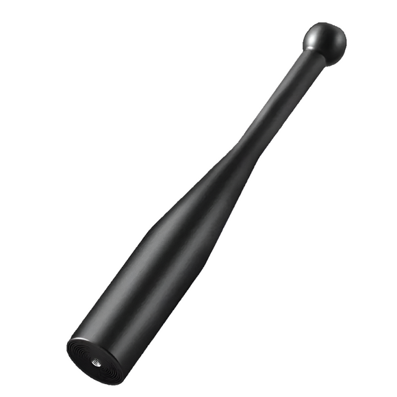 NNETM 10kg Weighted Dumbbells Stick - Iron