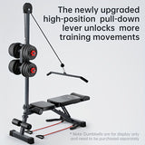 NNETM Dumbbell Sit-Up Bench Home Gym Equipment
