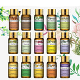 NNETM Premium Essential Oils Set for Diffuser (15pcs x 5ml)