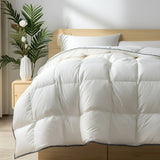 Royal Comfort -Bamboo Quilt Double 350GSM-1927503871077388288