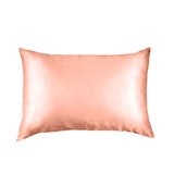 Pure Silk Pillow Case by Royal Comfort-Blush-1935488847660060672