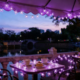 Solar Purple Cherry Blossom String Lights, 8 Function, Courtyard Balcony Outdoor Camping Decoration Light String, Holiday LED Atmosphere Light, 1 String Of 6.5 Meters 30 Lights