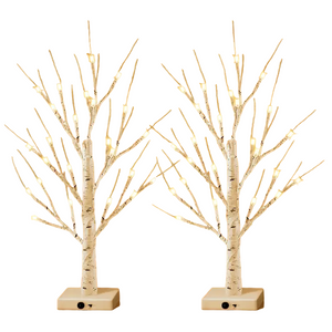 NNETM 24LT 60.96cm Lighted Birch Tree - Warm White Christmas Lights