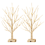 NNETM 24LT 60.96cm Lighted Birch Tree - Warm White Christmas Lights