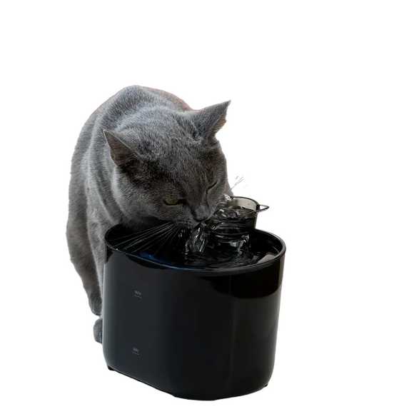 NNETM Smart USB-Powered 2.2L Pet Water Fountain for Cats and Dogs - Black