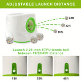 NNETM Automatic Dog Ball Launcher