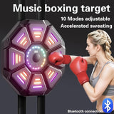NNETM Boxing Target with LED & Gloves