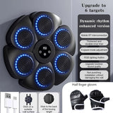 NNETM Musical Wall Boxing Target Training Machine