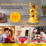 NNETM Radiant Christmas Joy: LED-Lit Artificial Sunflower in Glass Dom