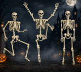 5.4FT Life-Size Human Skeleton Decoration – Adjustable