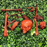 NNETM 14-Piece Halloween Skeleton Bone Set