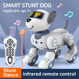 NNETM Remote Control Robot Dog Toy for Kids