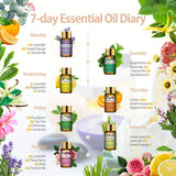 NNETM Premium Essential Oils Set for Diffuser (15pcs x 5ml)