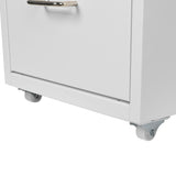 Levede 4 Drawer Office Drawers Cabinet White-1922897593227153412