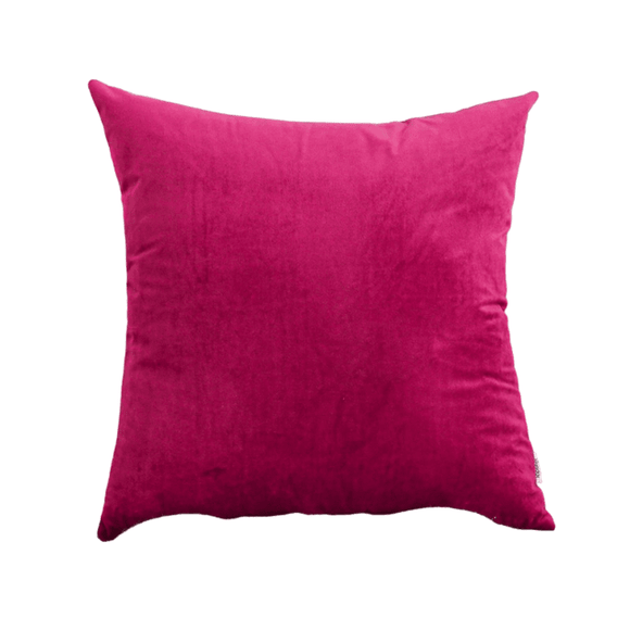 NNEOBA Velvet Pillow Cases Cushion Cover