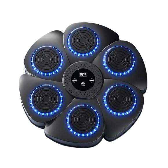 NNETM Musical Wall Boxing Target Training Machine