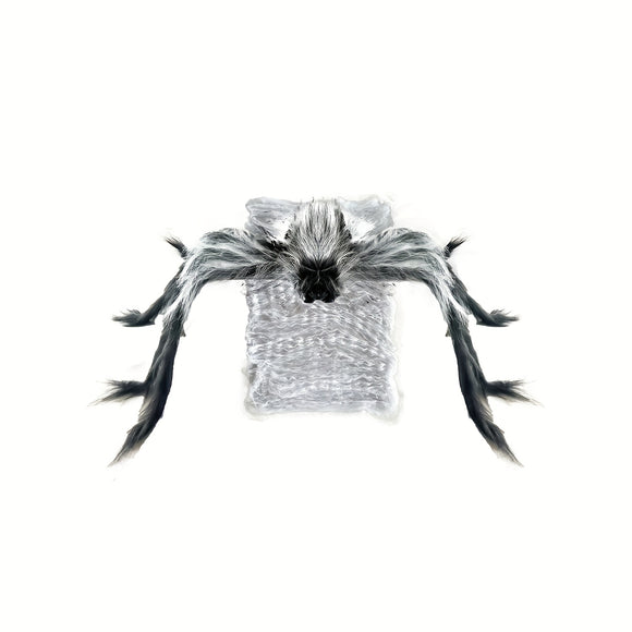 NNETM Halloween Jumping Spider with LED and Sound