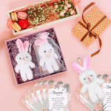 NNETM 6-Pack Mini White Bunny Gifts with Hug Cards