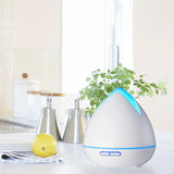 PureSpa Ultrasonic Diffuser  - White-1927503844435169285