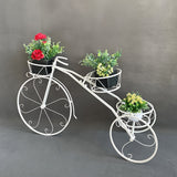 NNETM Bicycle Planter Stand for Indoor Outdoor Use