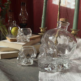 NNETM 2-Piece Skull Decanter Set - 750ml Crystal Wine Decanter