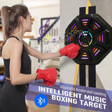 NNETM Boxing Target with LED & Gloves