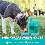 NNETM Dog Travel Water Dispenser Bottle