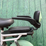 NNETM Electric Bicycle Rear Seat Safety Guardrail