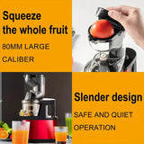 NNETM Fruits and Vegetables Slow Juicer