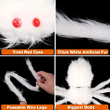 NNETM Creepy Crawly: The Halloween Spider Showstopper