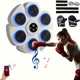 NNETM Musical Wall Boxing Target Training Machine