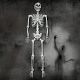 1pc Super Large Halloween Skull Decoration – Spooky Haunted House
