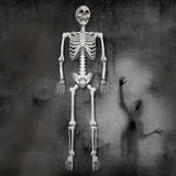 NNETM Faux Skeleton Sculpture: Spooky Halloween Decor