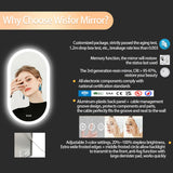 NNEOBA 1-Piece Oval Backlit LED Bathroom Mirror with Anti-Fog
