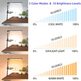 NNETM LED Clip Desk Lamp with Storage Tray & Adjustable Brightness