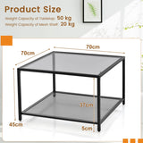 NNECW 70 CM Modern 2-Tier Square Glass Coffee Table with Mesh Shelf-Grey