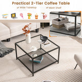 NNECW 70 CM Modern 2-Tier Square Glass Coffee Table with Mesh Shelf-White