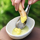NNETM Stainless Steel Ginger Grater Spoon