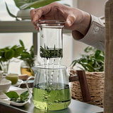 NNETM Glass Tea Kettle with Strainer & Wood Handle