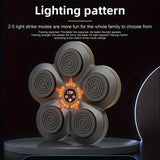 NNETM Boxing Training Kit with Reactive LED Wall Punching Target(Black)