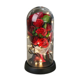 NNETM Romantic Everlasting Rose Bouquet with LED Lights