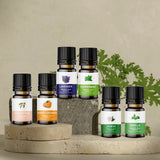 NNETM Aromatherapy Glass Bottles Essential Oil Set of 6
