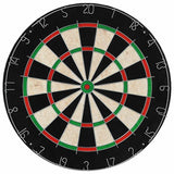 NNEVL Professional Sisal Dartboard with 6 Darts