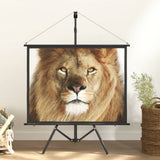 NNEVL Projection Screen with Tripod 50- 4:3